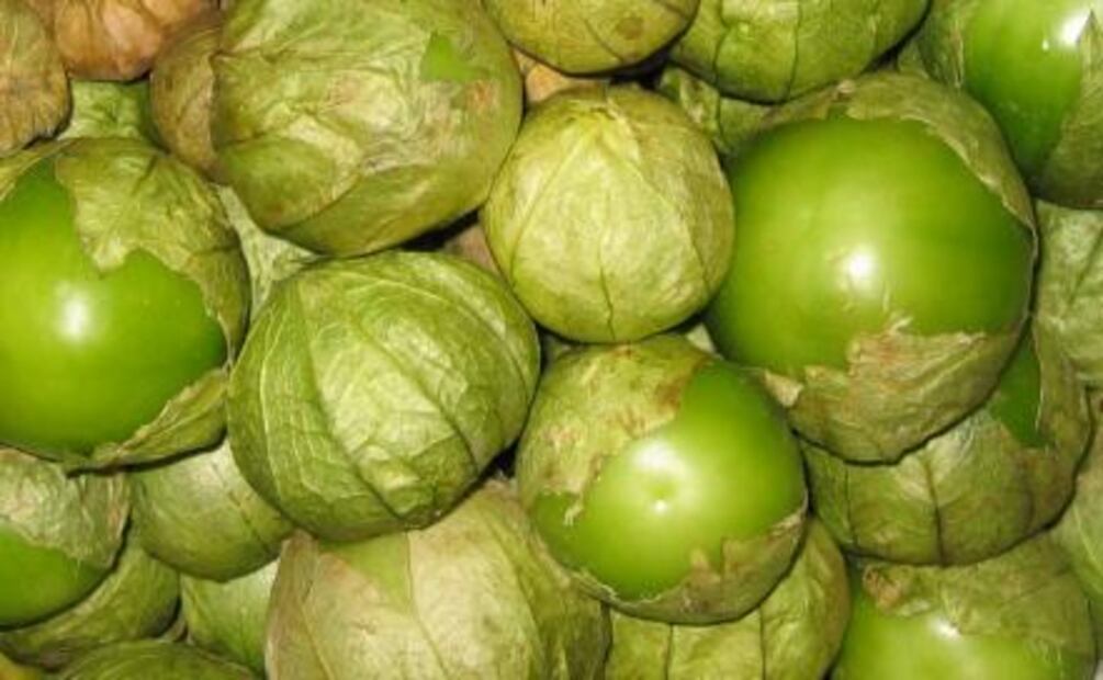 ¿Cómo elegir frutas y verduras adecuadamente?