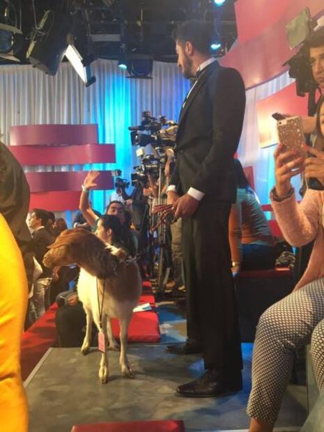 Rubí baila vals de XV años en programa de TV Azteca