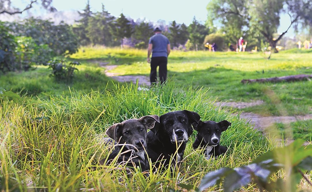 Foto: Archivo/ EL UNIVERSAL                  