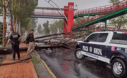 Lluvia, granizo y viento arrancan árboles y dejan sin luz a vecinos de Ixtapaluca