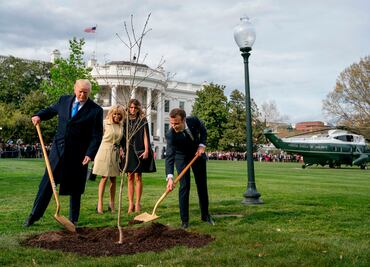 Desaparece roble que Trump y Macron plantaron en la Casa Blanca