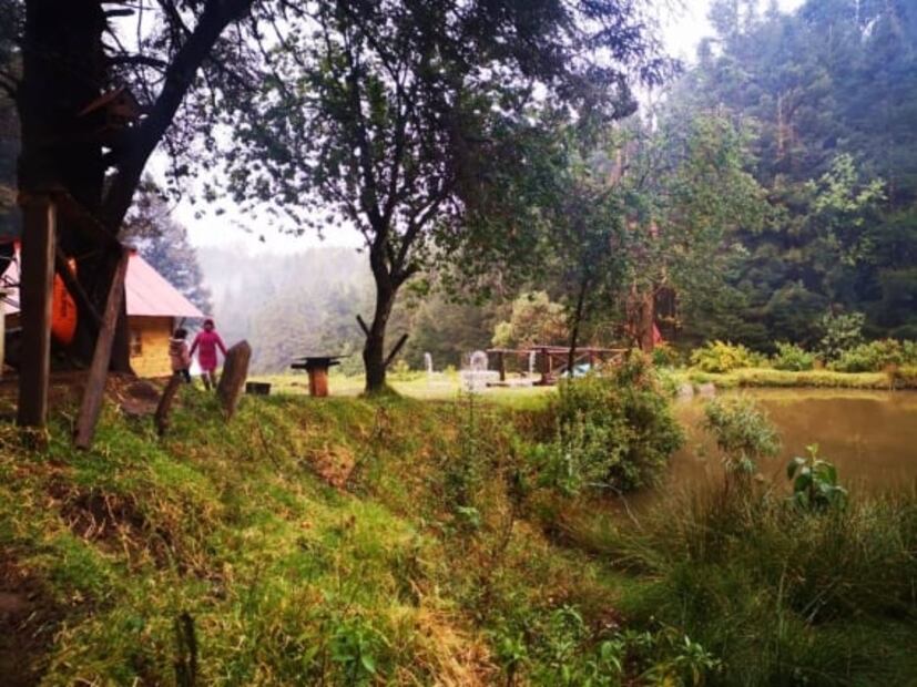 Peña de Lobos, el bosque embrujado a una hora de CDMX 