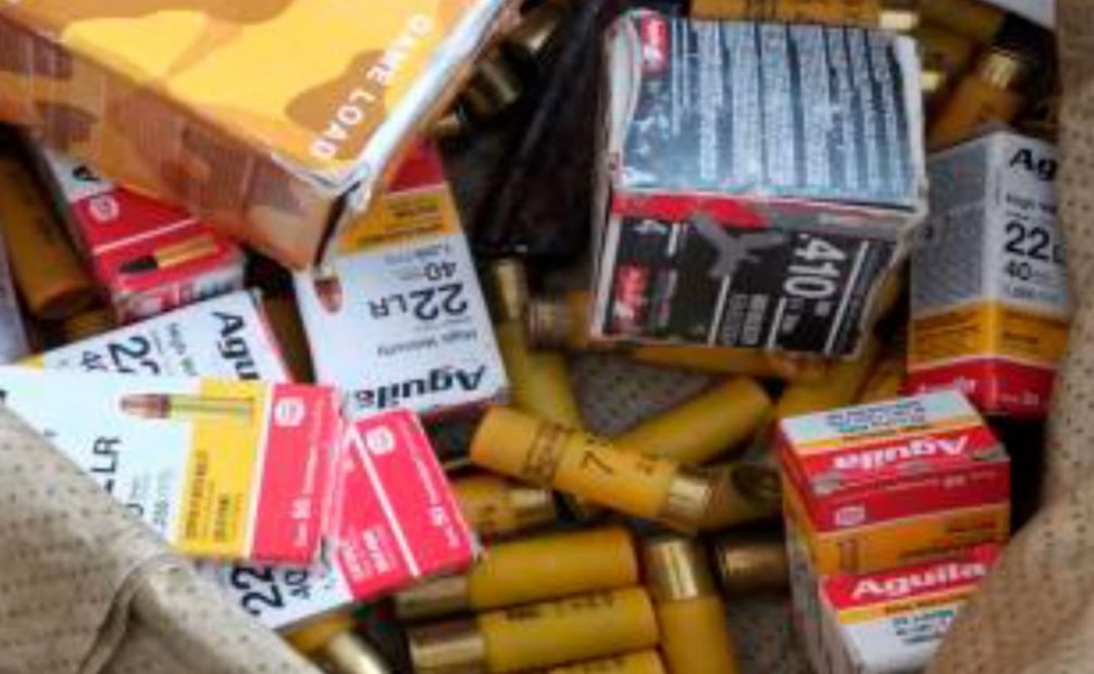 Cateo en Veracruz ligado a "El Fallo", del Cártel Jalisco Nueva Generación. Foto: Especial