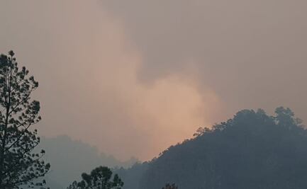 Elementos y helicópteros de la Marina se suman al combate de incendios en Coahuila y NL