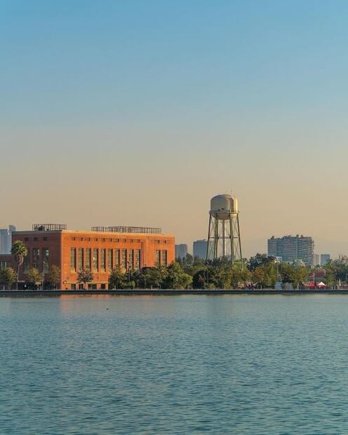 Disfruta de todo lo que ofrece el Parque Bicentenario