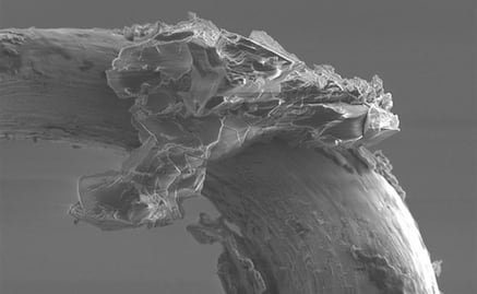 Un grano de otro mundo, traído por una nave espacial