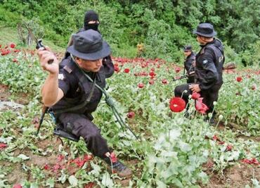 Mexican drug cartels fight over Guatemala