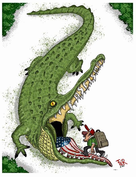 Cartón de FER