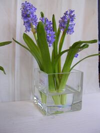 Decoración ecológica, un respiro al planeta