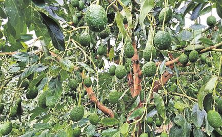 Pide EU garantías de seguridad