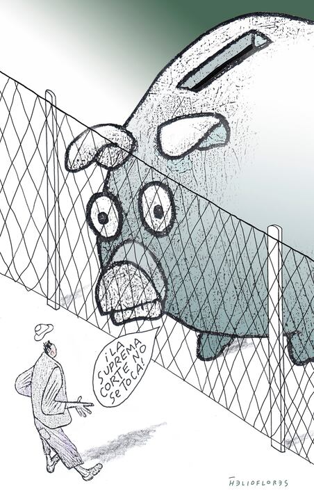 Cartón de HELIOFLORES