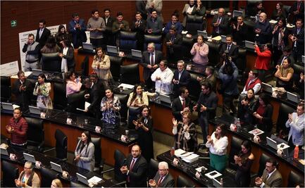 Turnan a San Lázaro reforma para que Infonavit pueda construir; Senado avala con mayoría