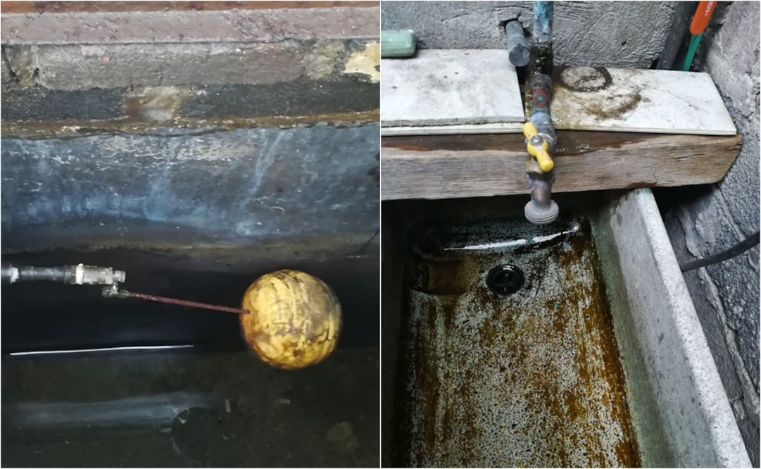 (Foto: Claudia Flores / EL UNIVERSAL)