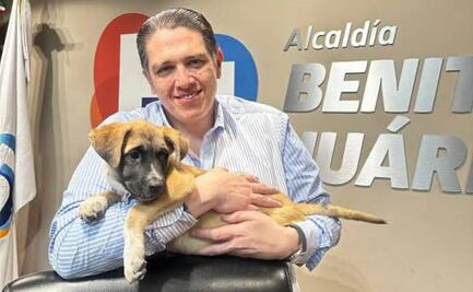Alcaldía Benito Juárez firma convenio con Comisión de Bienestar Animal del Congreso de CDMX; buscan fortalecer su protección