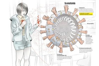 EL UNIVERSAL gana 4 premios por diseño e infografía