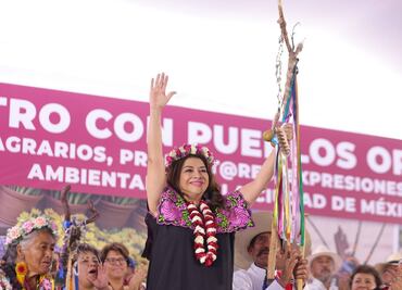 Clara Brugada se compromete a “aplicar todo el peso de la ley y fuerza del Estado” para combatir la tala ilegal en CDMX