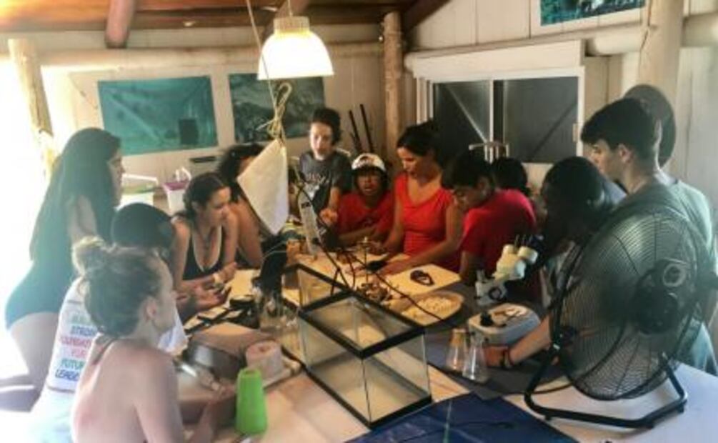 Descubre cómo se forma una perla en esta playa de Cozumel