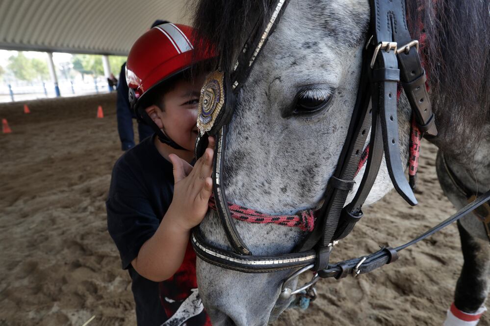 Caballos policías ayudan a niños con autismo