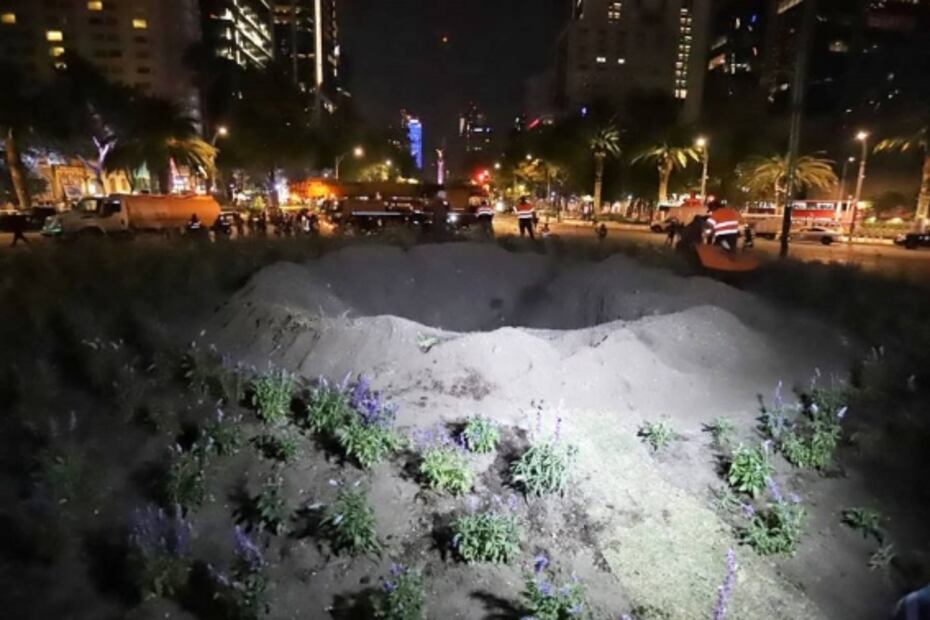 Así llegó el ahuehuete que se sembró este domingo en la glorieta de la palma
