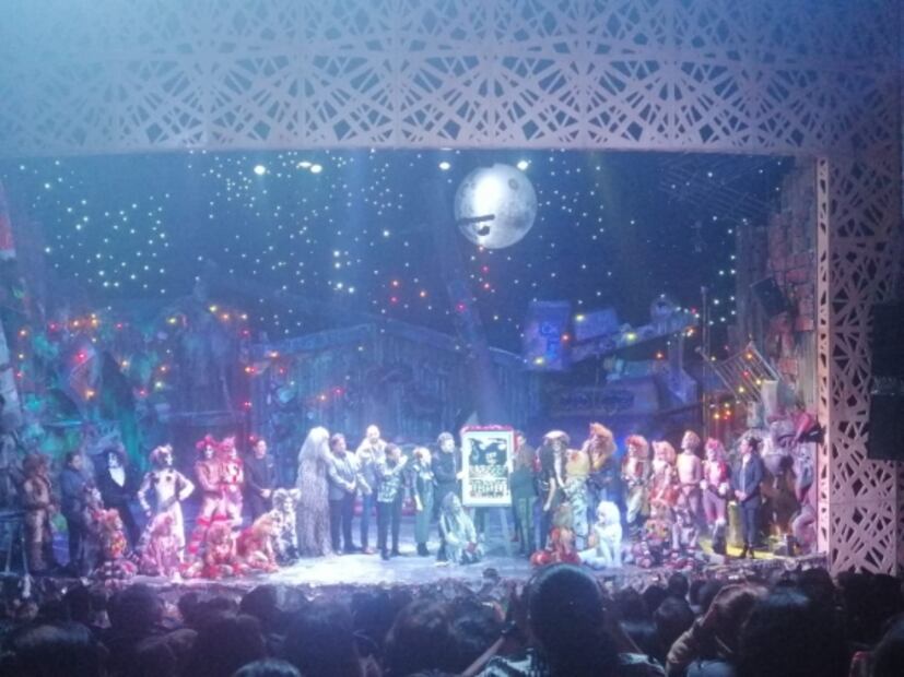 "Cats, el musical" cumple 100 representaciones