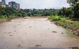 Urgen atender pestilencia en presa