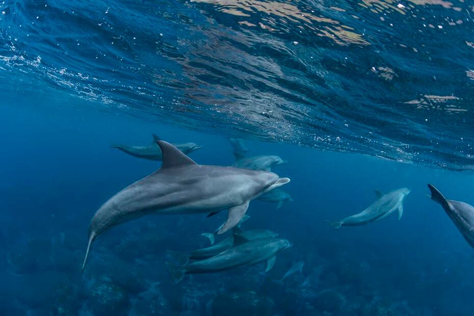 Foto: Daisuke Kurashima. iStock