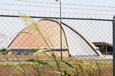 El Armadillo, la semilla que una planta sepultó