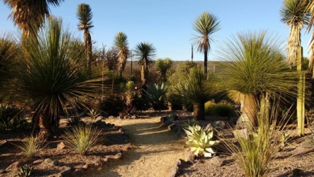 9 actividades en San Miguel de Allende con menos de 500 pesos