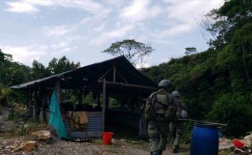 Desarticulan laboratorios de cocaína de guerrilla ELN en Colombia
