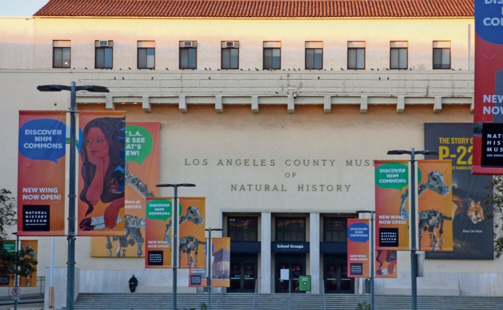 El Museo de Historia Natural es ya es uno de los mayores y novedosos
atractivos de Los Ángeles, que se alista para los Juegos Olímpicos en 2028. Foto: Museo de Historia Natural del condado de Los Ángeles