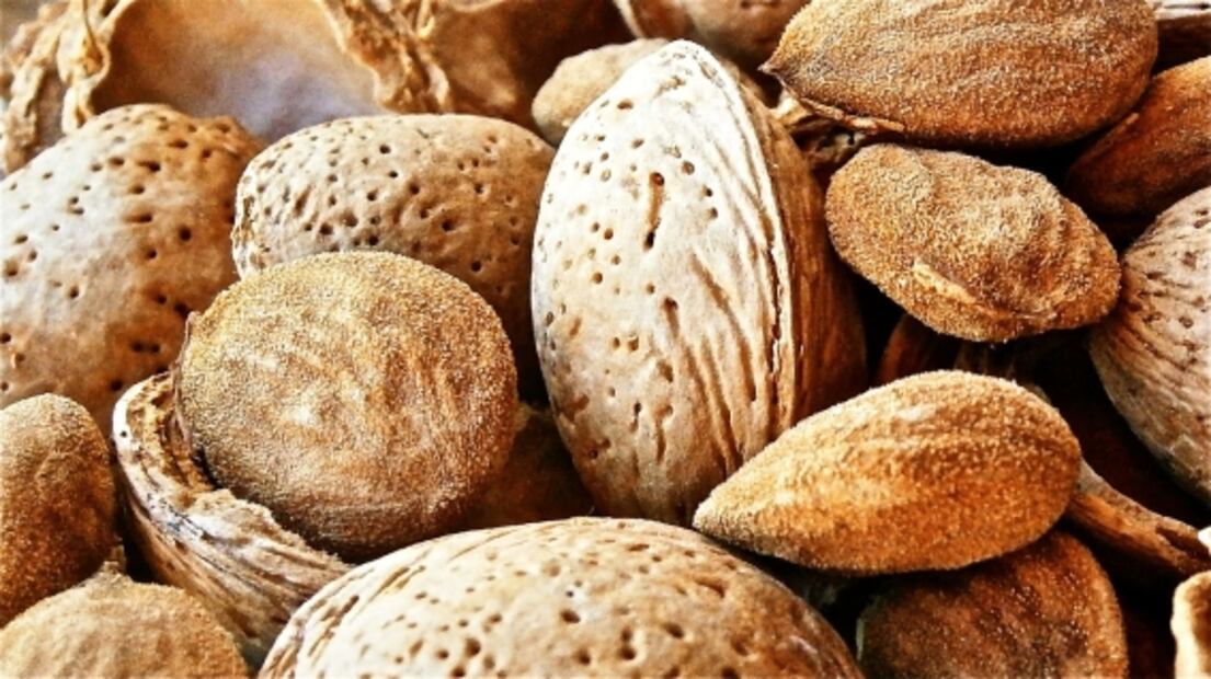 Conoce el proceso de las almendras para llegar a tu mesa