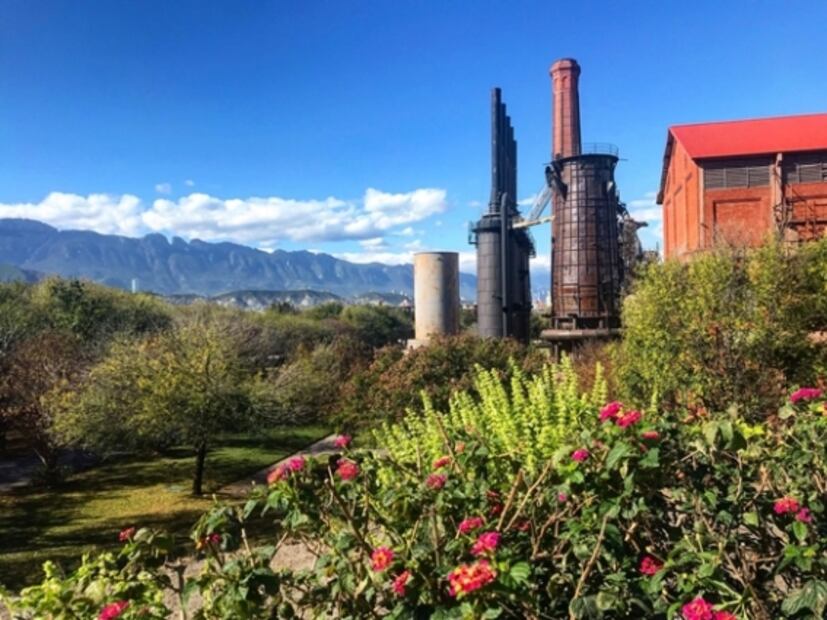 Viajes para vivir experiencias con mujeres emprendedoras en México
