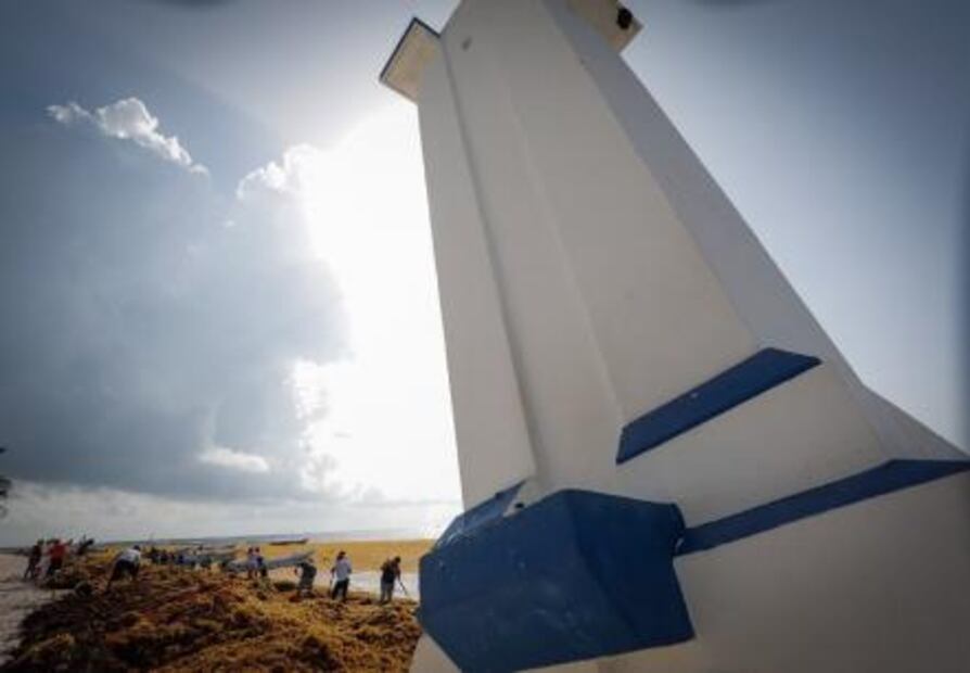 Descartan cancelación de reservas por sargazo en Quintana Roo