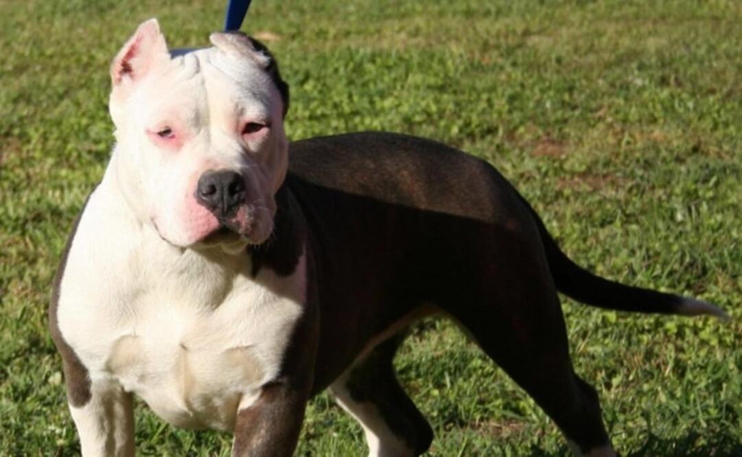 FOTO: Ilustrativa / Especial