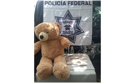 Aseguran en Jalisco 200 mil pesos ocultos en oso de peluche
