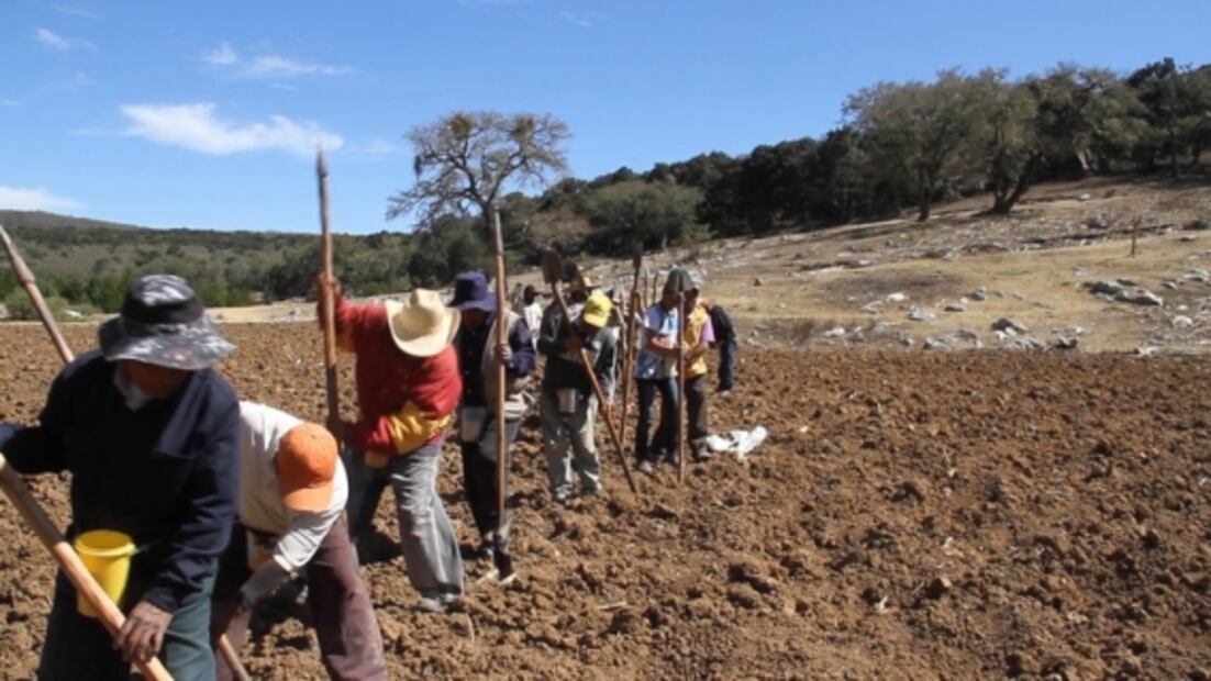 Los Guardianes del Maíz el mejor documental extranjero