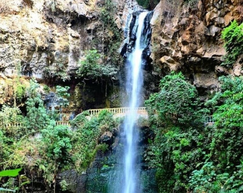 Mide 30 metros de altura. Foto: Cortesía de Alberto Gómora @instagram.com/gomoramuniz