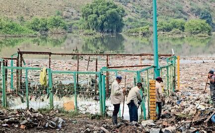 Van por retomar colector para desahogar presa Ángulo