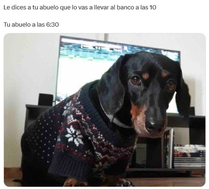 Día del Abuelo 2025: los mejores memes para hacer sonreír al rey de la casa; dedica uno este 28 de agosto