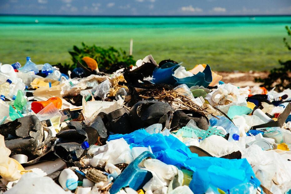 Plástico y futuro: Redefiniendo su impacto. Cortesía WWF