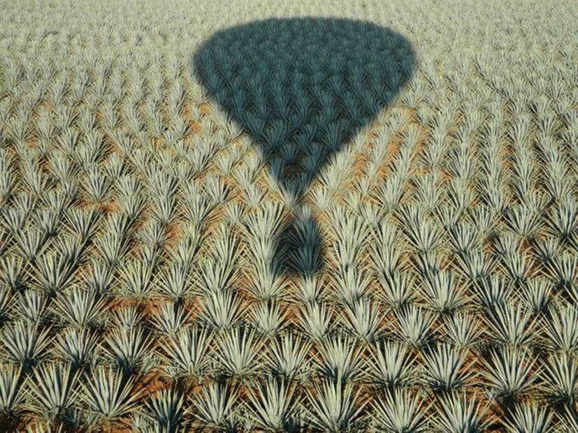 Foto: Aventúrate por Jalisco