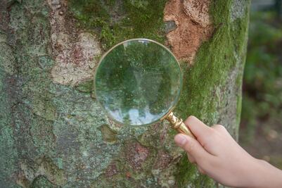 Turismo con lupa: la nueva tendencia en viajes