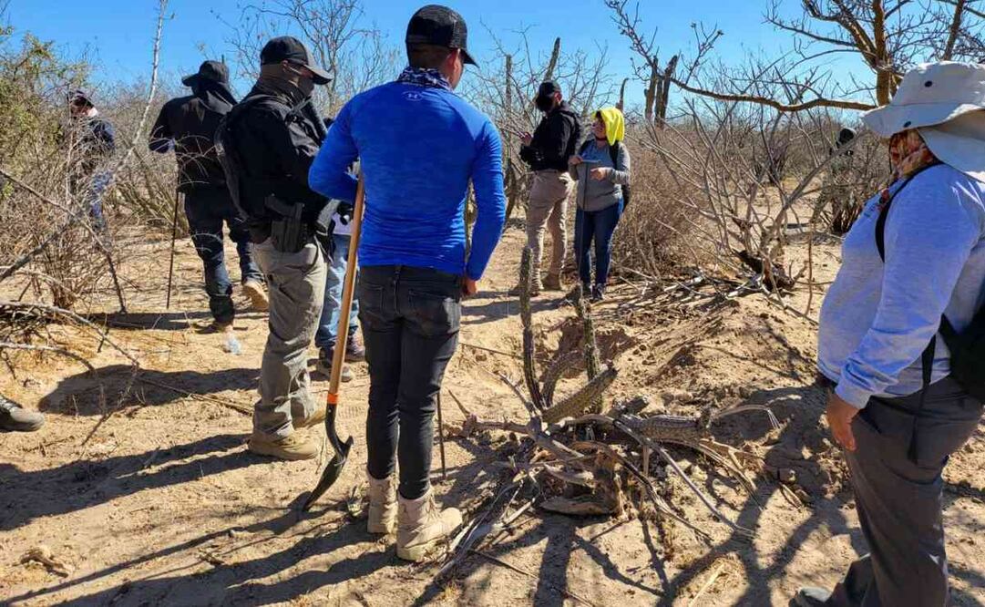 Reportan hallazgo de cuatro fosas clandestinas en La Paz BCS (29/06/2025). Foto: Especial