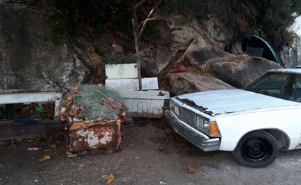 Hallan tortuga destazada en playa de Guerrero