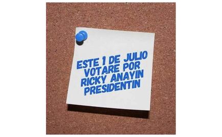 Lanzan panistas campaña por "Ricky Anayín Presidentín"
