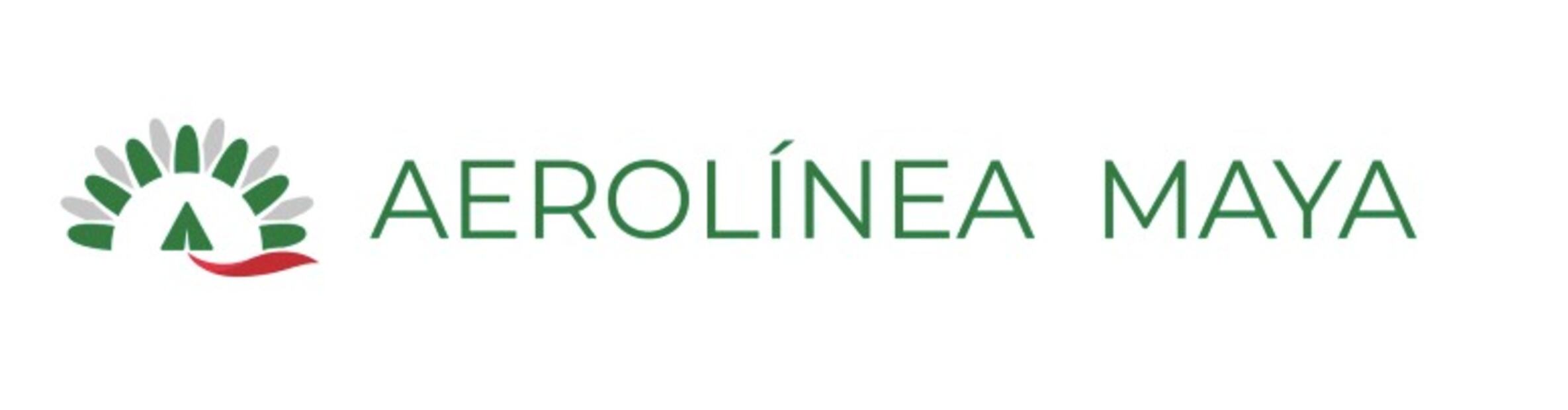 Sedena registró 5 diferentes logotipos para su compañía aérea "Aerolínea Maya" / Foto: Especial