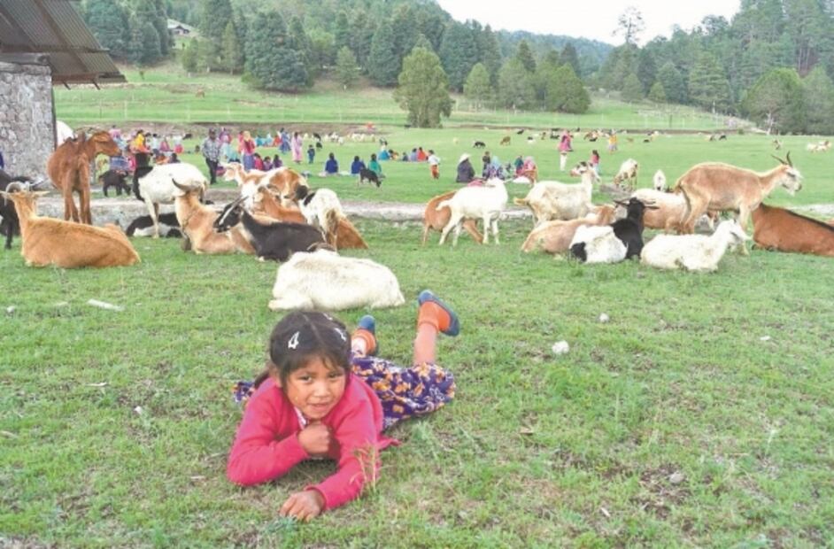 El mundo desde los ojos de los niños rarámuris