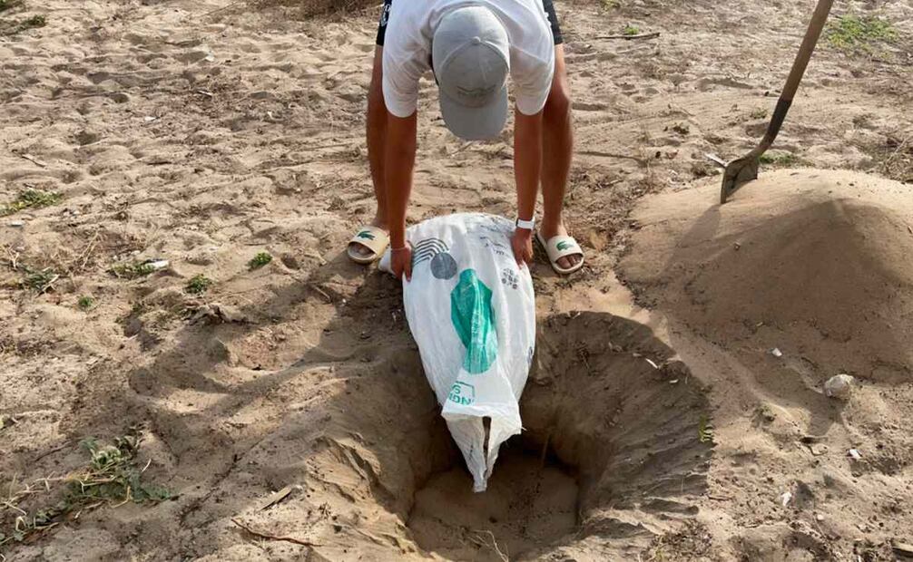 Profepa hizo un operativo de vigilancia en el Santuario Playa Morro Ayuta, en Oaxaca. Foto: Profepa