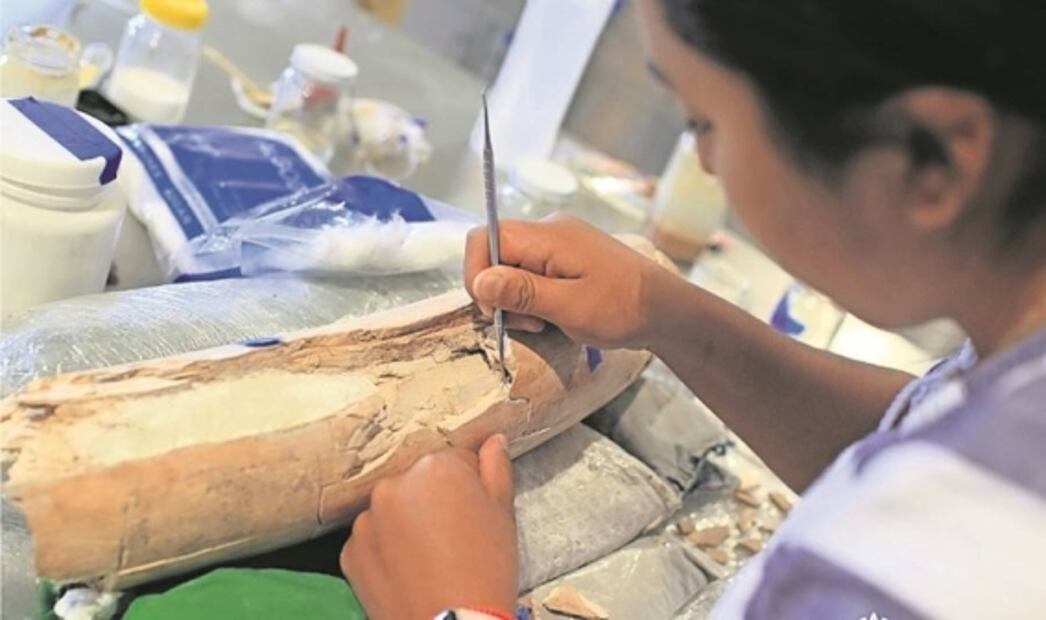 En abandono, restos arqueológicos en AIFA por falta de pago