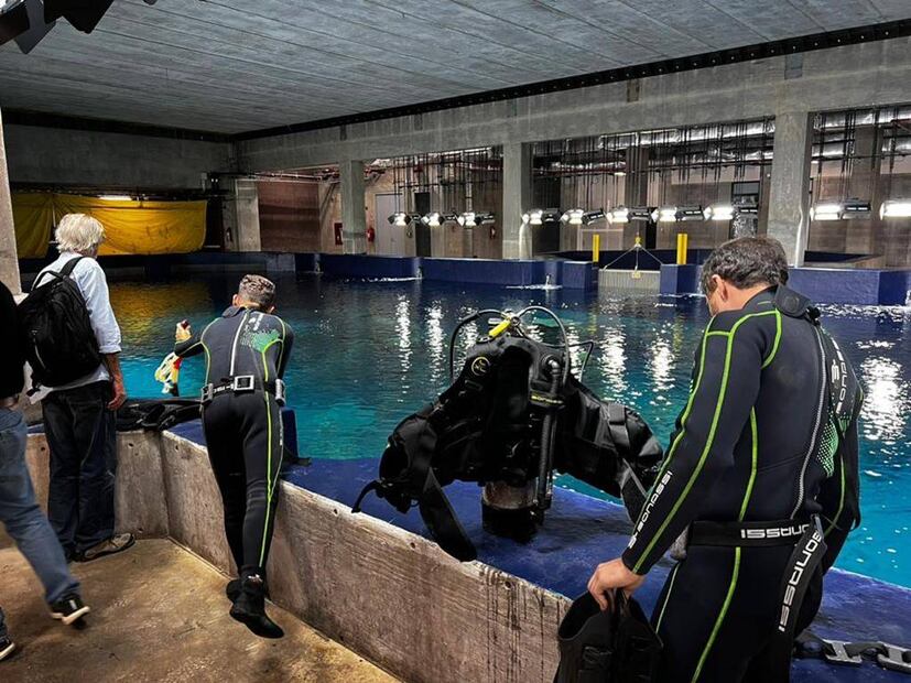 Foto: Gran Acuario Mazatlán Mar de Cortés